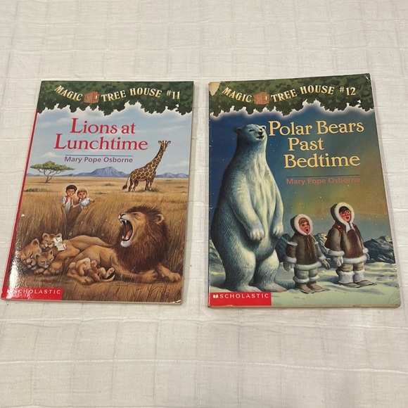 Bundle 20 Magic tree house series accelerated reader paperback books - Picture 7 of 14